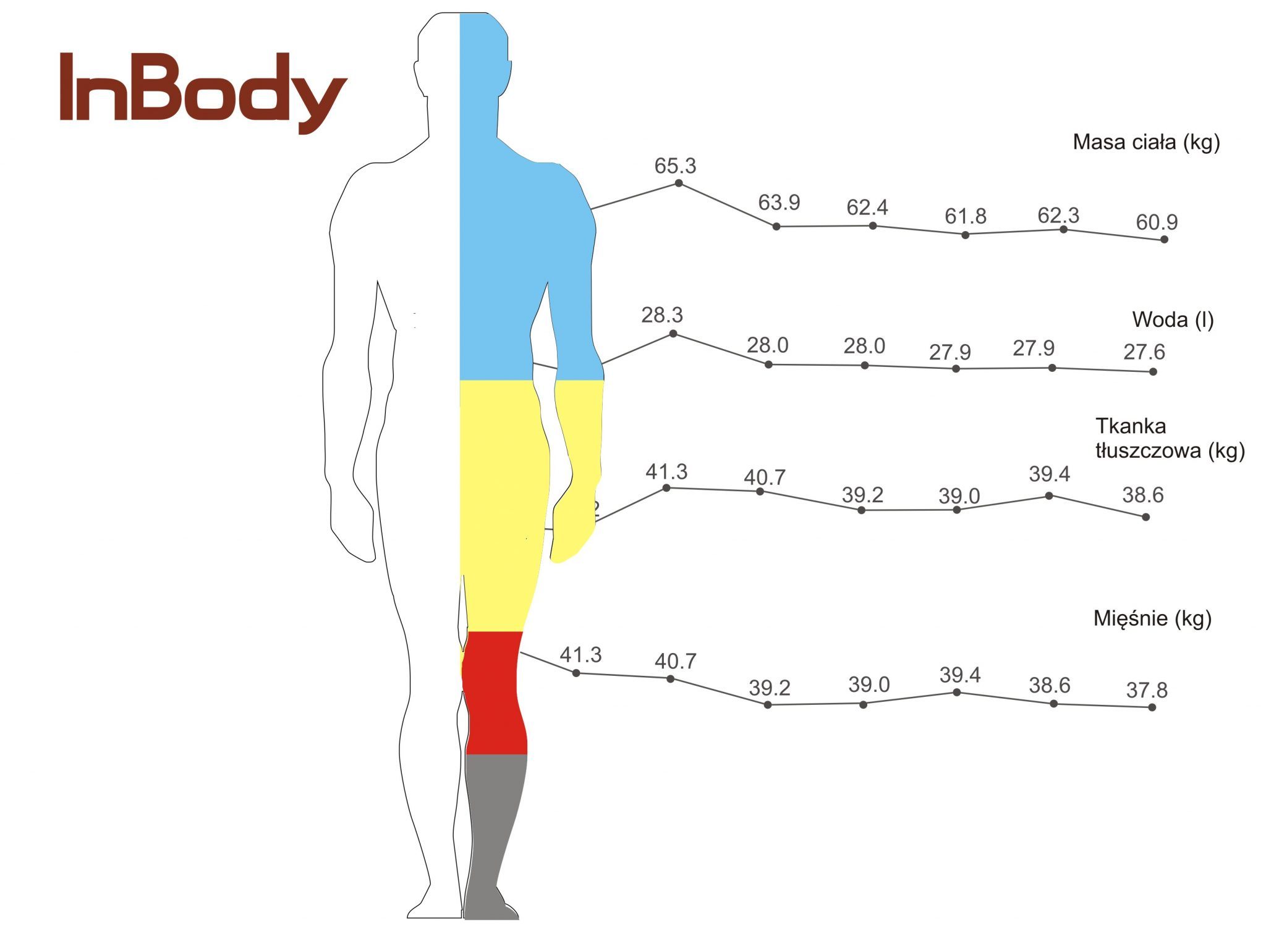 Analiza składu ciała jak interpretować wyniki część I InBody Poland