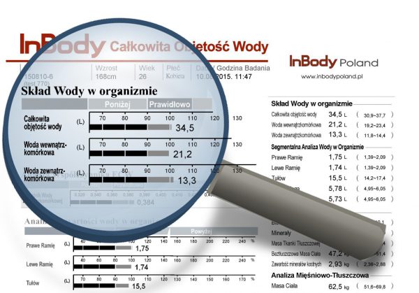 Analiza Składu Ciała Jak Interpretować Wyniki Część Ii Inbody Poland 9081