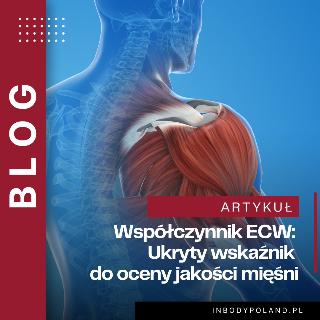 Współczynnik ECW: Ukryty wskaźnik do oceny jakości mięśni